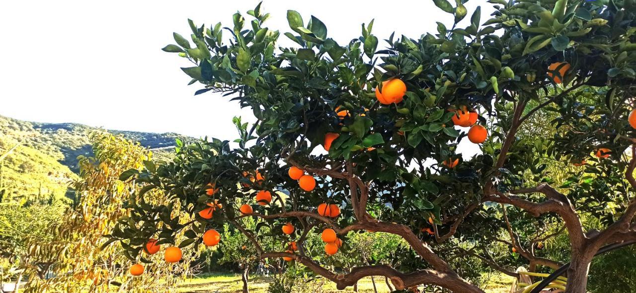 Tenuta Piana1 Con Accesso Diretto Al Mare Caronia Marina المظهر الخارجي الصورة